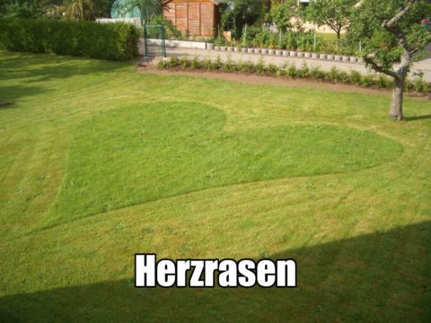 Ein Rasen der so gemäht wurde, dass eine Herzform sichtbar ist. Darunter das Wort "Herzrasen".