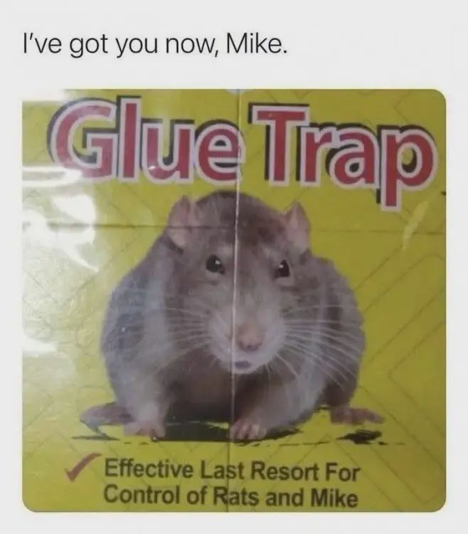 The packaging of a product: it says "Glue Trap", there's a picture of a rat, and it says "Effective Last Resort for Control of Rats and Mike". The meme is captioned "I've got you now, Mike.".